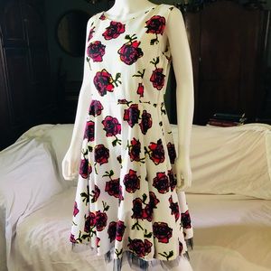 HEARTS & ROSES Ladies Sz 10 Swing style dress